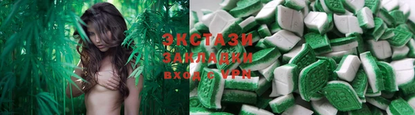 прущие грибы Тында