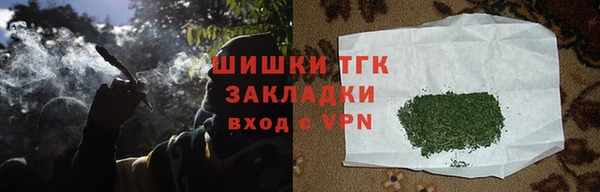 дживик Ельня