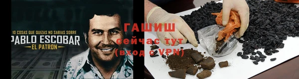 дживик Ельня