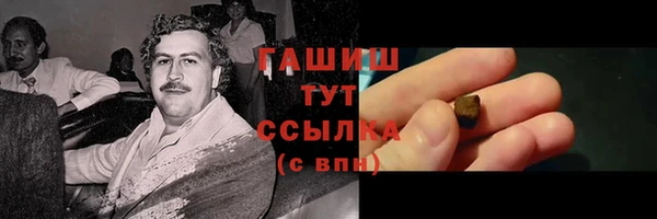 дживик Ельня
