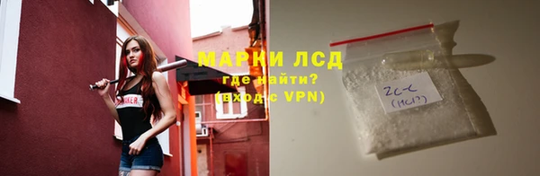 индика Горнозаводск