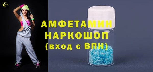 индика Горнозаводск