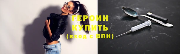 дживик Ельня