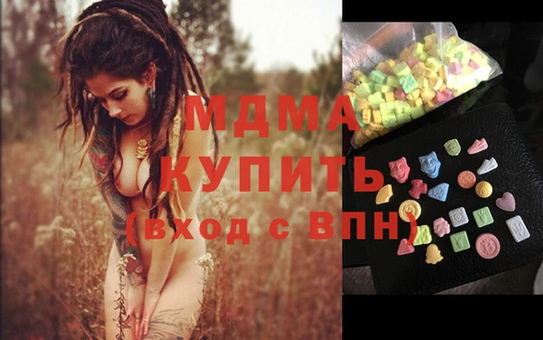 индика Горнозаводск