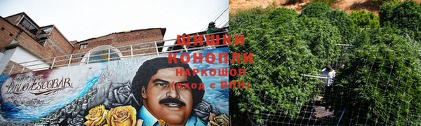 дживик Ельня