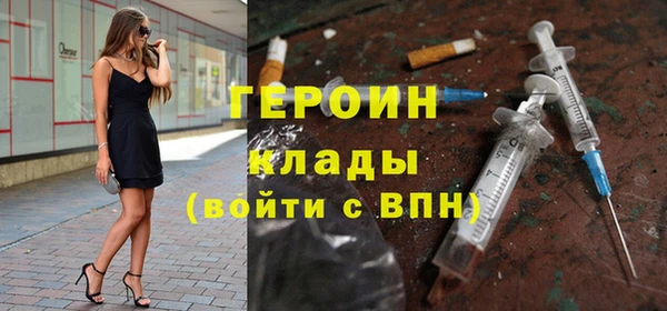 дживик Ельня