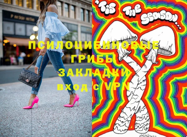 амф Туринск