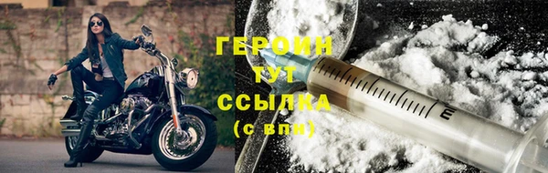 дживик Ельня