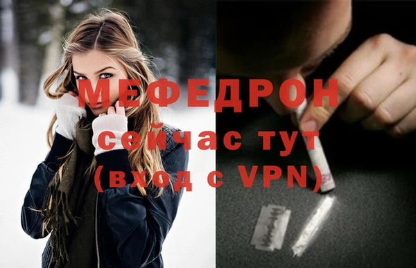 дживик Ельня