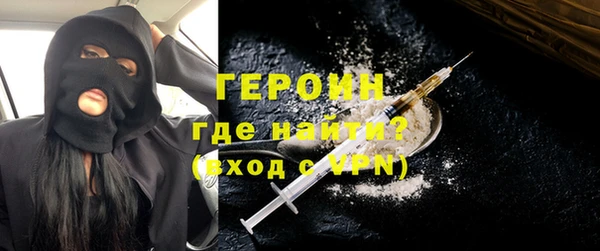 дживик Ельня