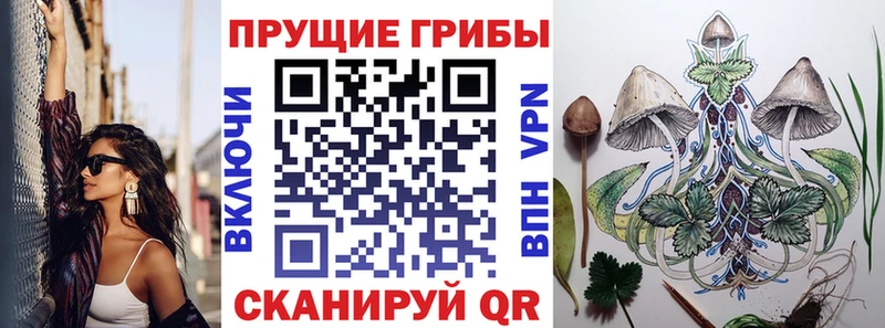 Псилоцибиновые грибы мухоморы  Вельск 