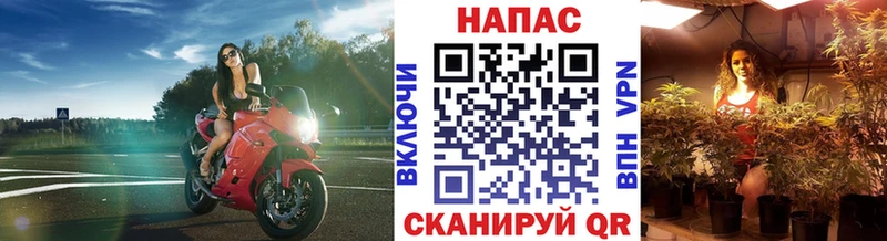 Каннабис конопля  гидра вход  Вельск 